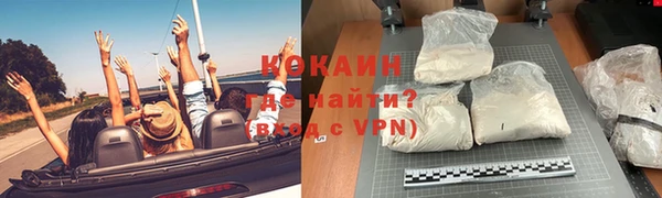 индика Армянск