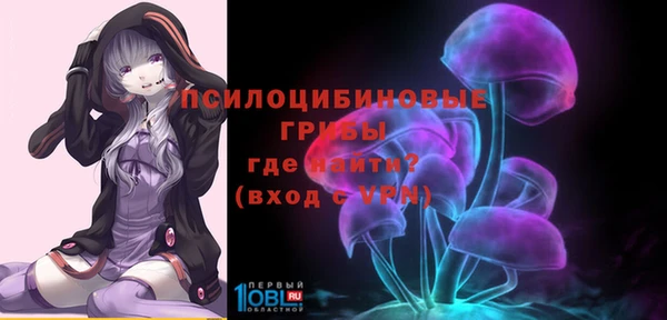 индика Армянск