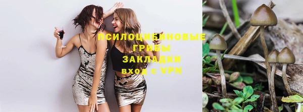 молекула духа Арсеньев