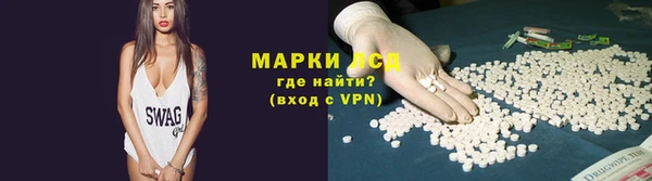 молекула духа Арсеньев