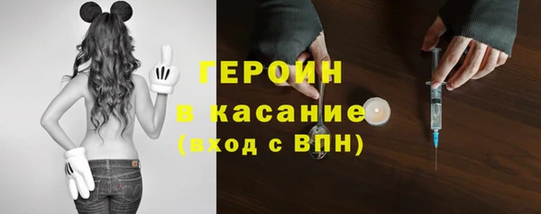 молекула духа Арсеньев