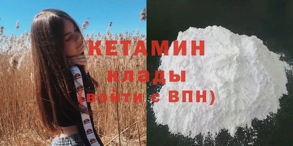 молекула духа Арсеньев
