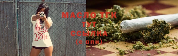 индика Армянск