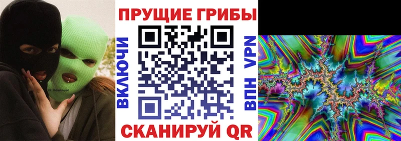 Галлюциногенные грибы прущие грибы  Пустошка 